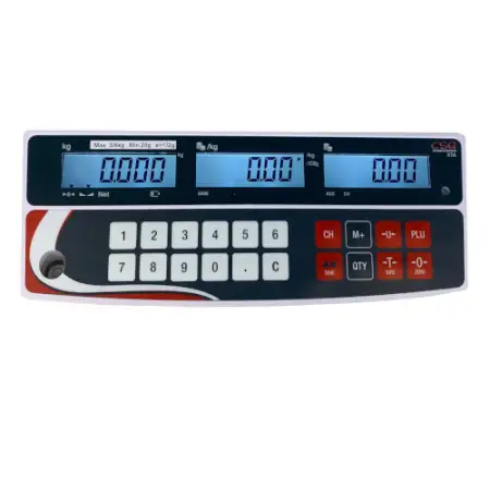 Click Here To Enlarge This Photo Of CSG XTA RETAIL SCALE