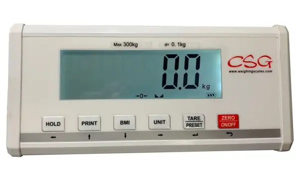Click Here To Enlarge This Photo Of CSG EH-MS HANDRAIL PHYSICIAN SCALE