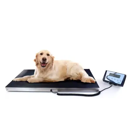 Click Here To Enlarge This Photo Of BAXTRAN AIS VETERINARY SCALE